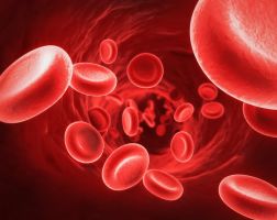Bệnh Thalassemia
