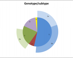 HCV genotype
