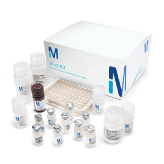 Kit ELISA định lượng kháng thể SARS-CoV-2-α-RBD