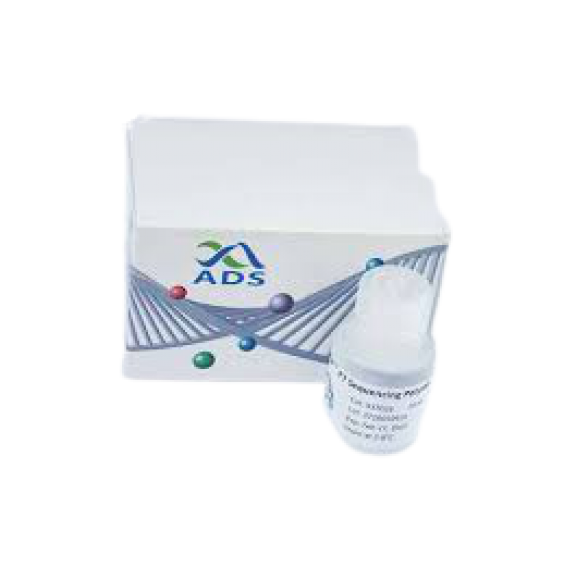 ADS™ phi29 DNA Polymerase and RCA DNA Amplification Kit