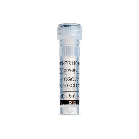 Tổng hợp primer, Primer PCR, DNA Oligos