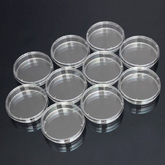 Đĩa petri nhựa 60 x 15