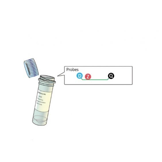 Tổng hợp probe, Probe  real-time PCR, TaqMan Probe
